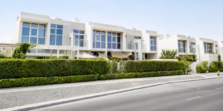 Damac Hills (2) - Mimosa — 1
